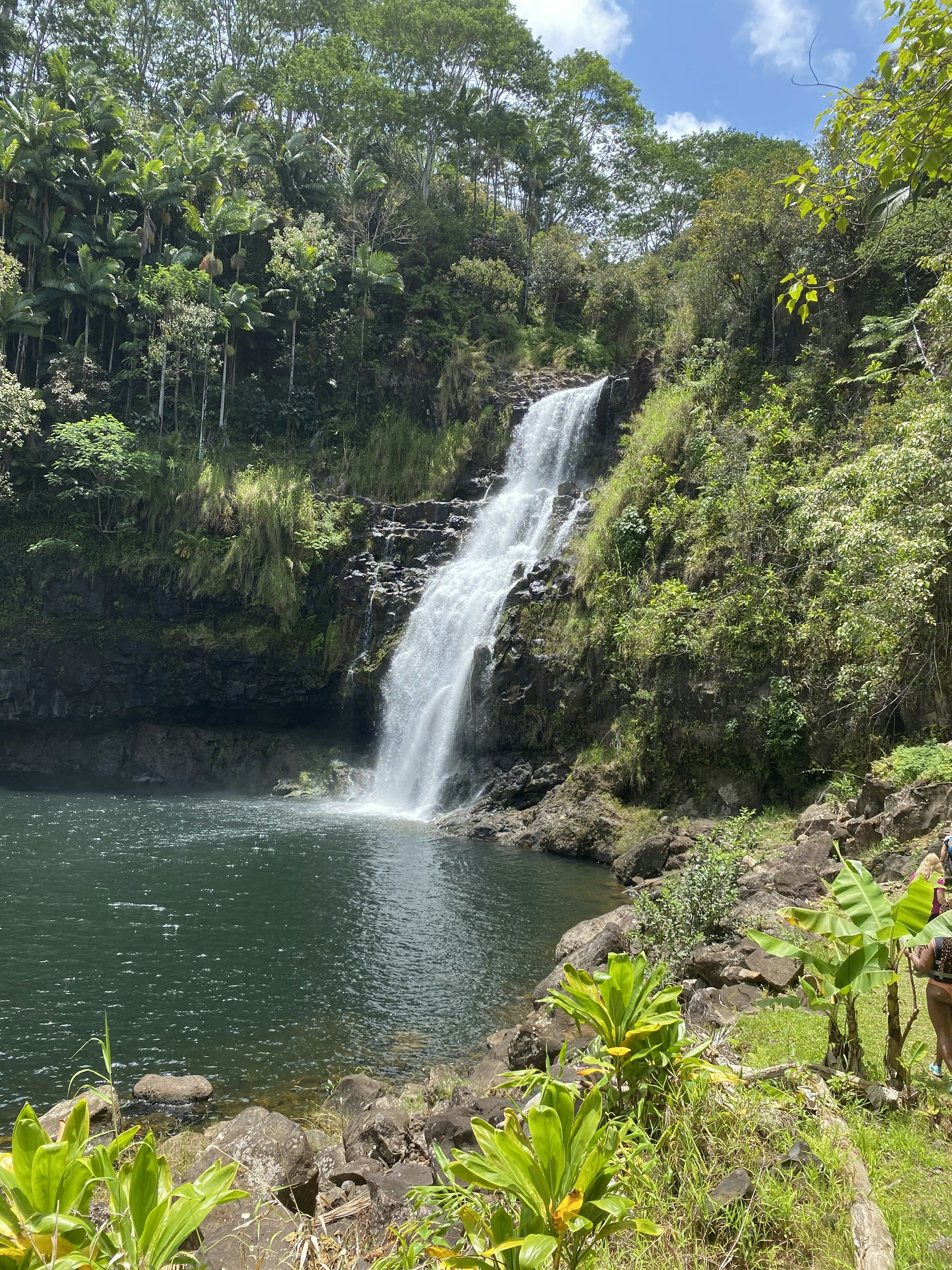 Emerald green pool at base of tropical waterfall surrounded by lush forest vegetation