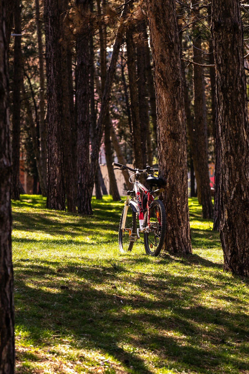 man riding bicycle on green grass field during daytime