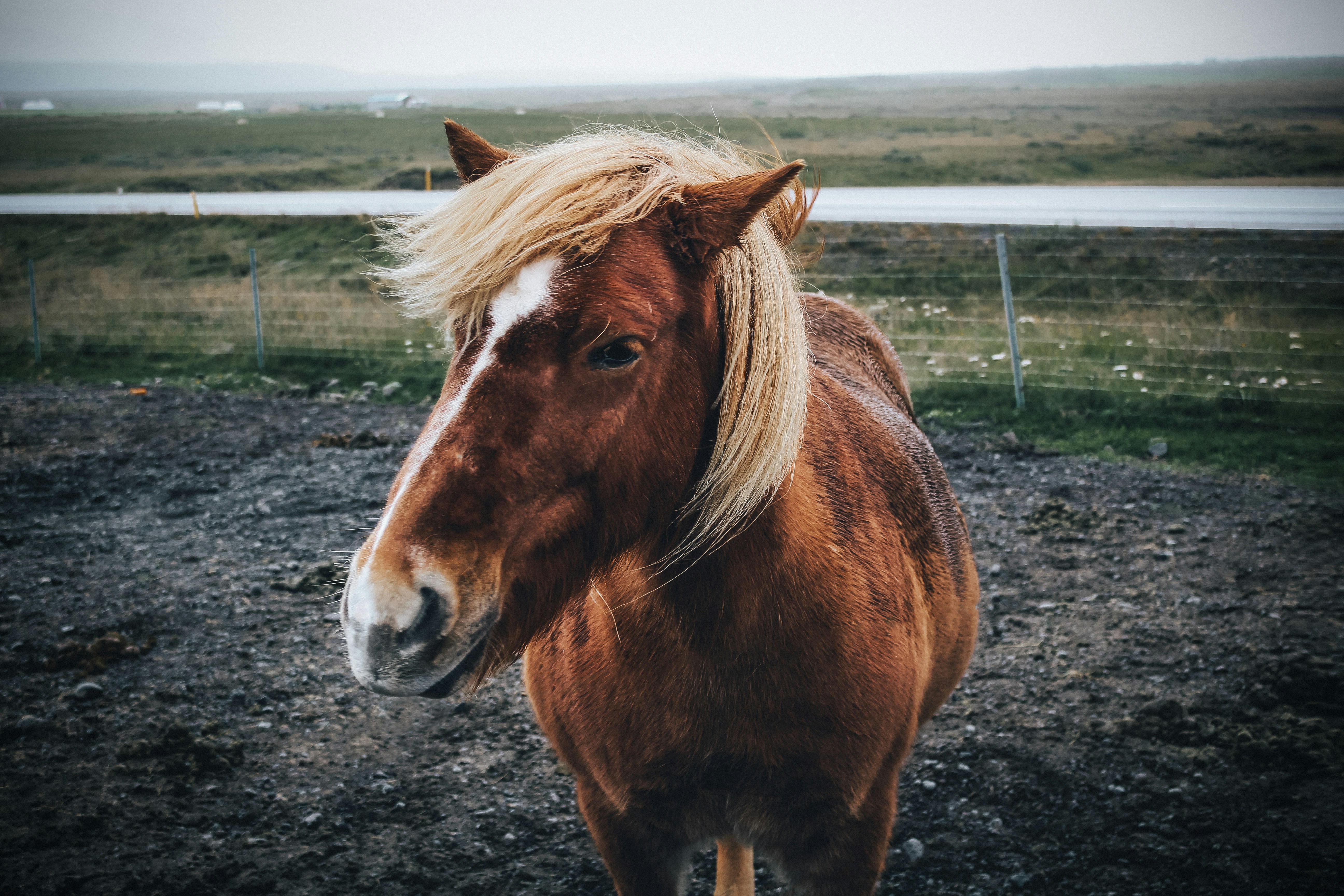 Photo by santesson89