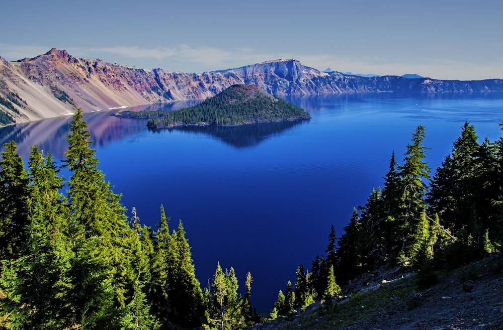 green trees near lake during daytime