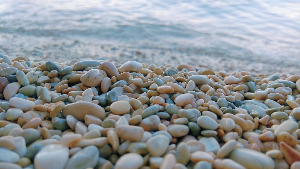 white and gray pebbles on the beach