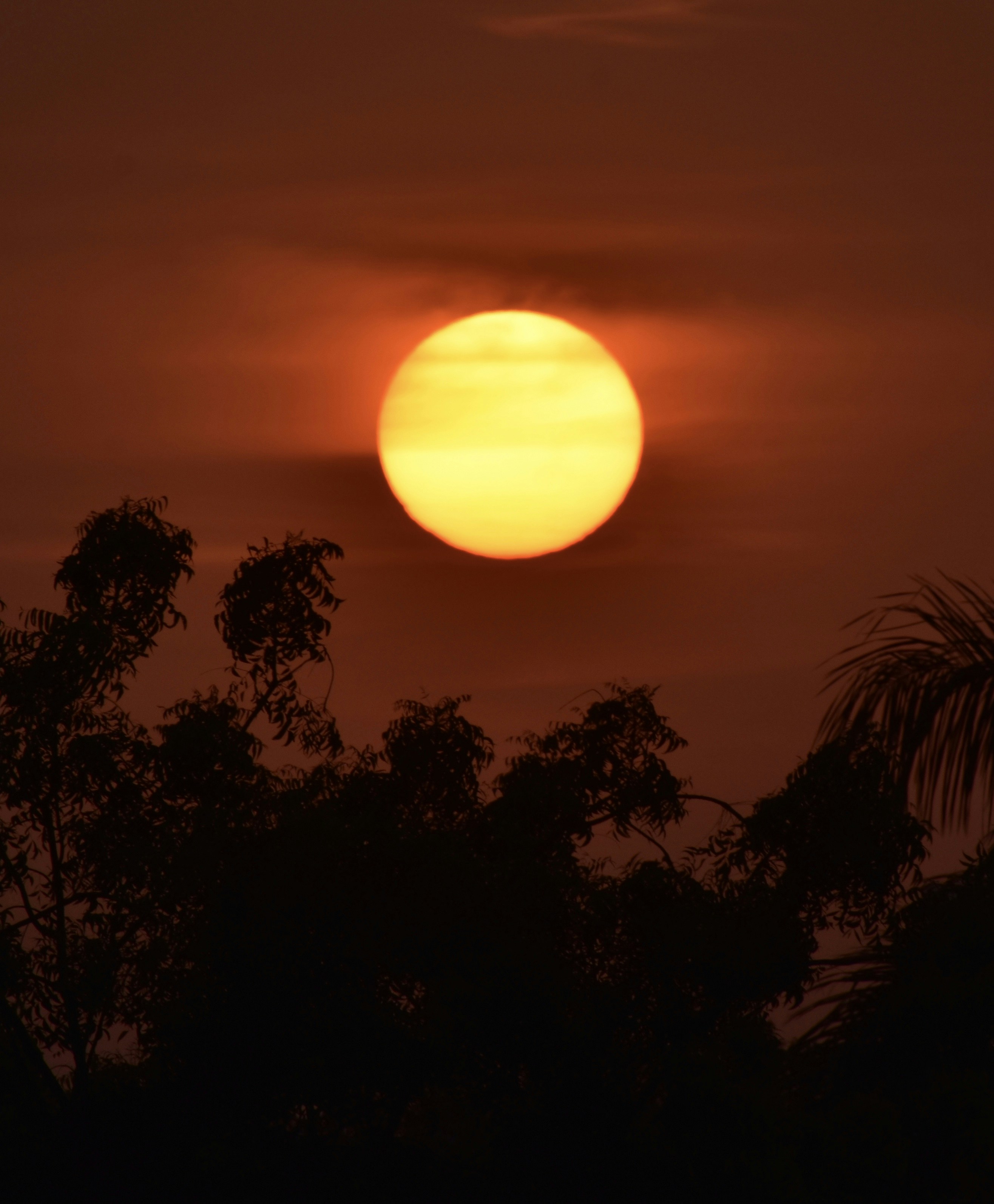 Photo by darshankedar29