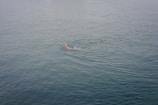 Close-up of a swimmer mid-stroke creating ripples in the water.