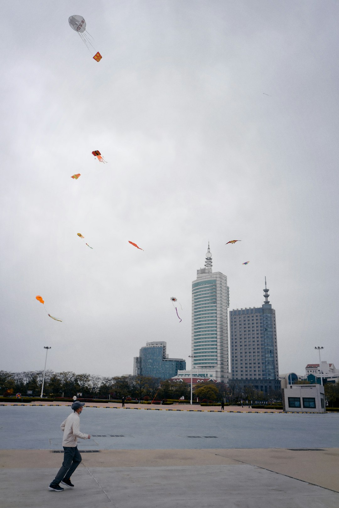 white and red birds flying over city buildings during daytime