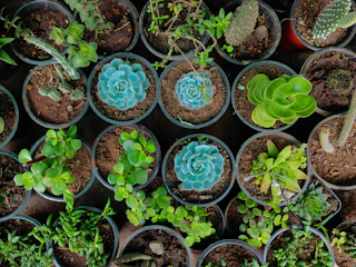 A collection of modern, minimalist plant pots with futuristic shapes, displayed with small succulents inside.