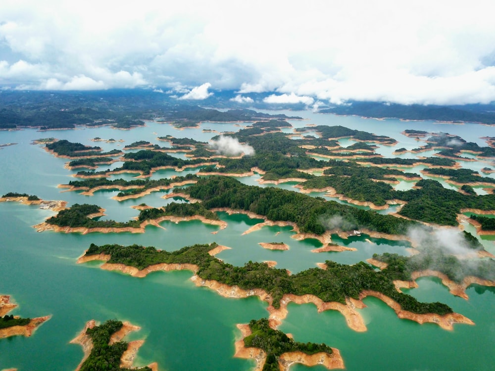 aerial view of green trees and white clouds during daytime