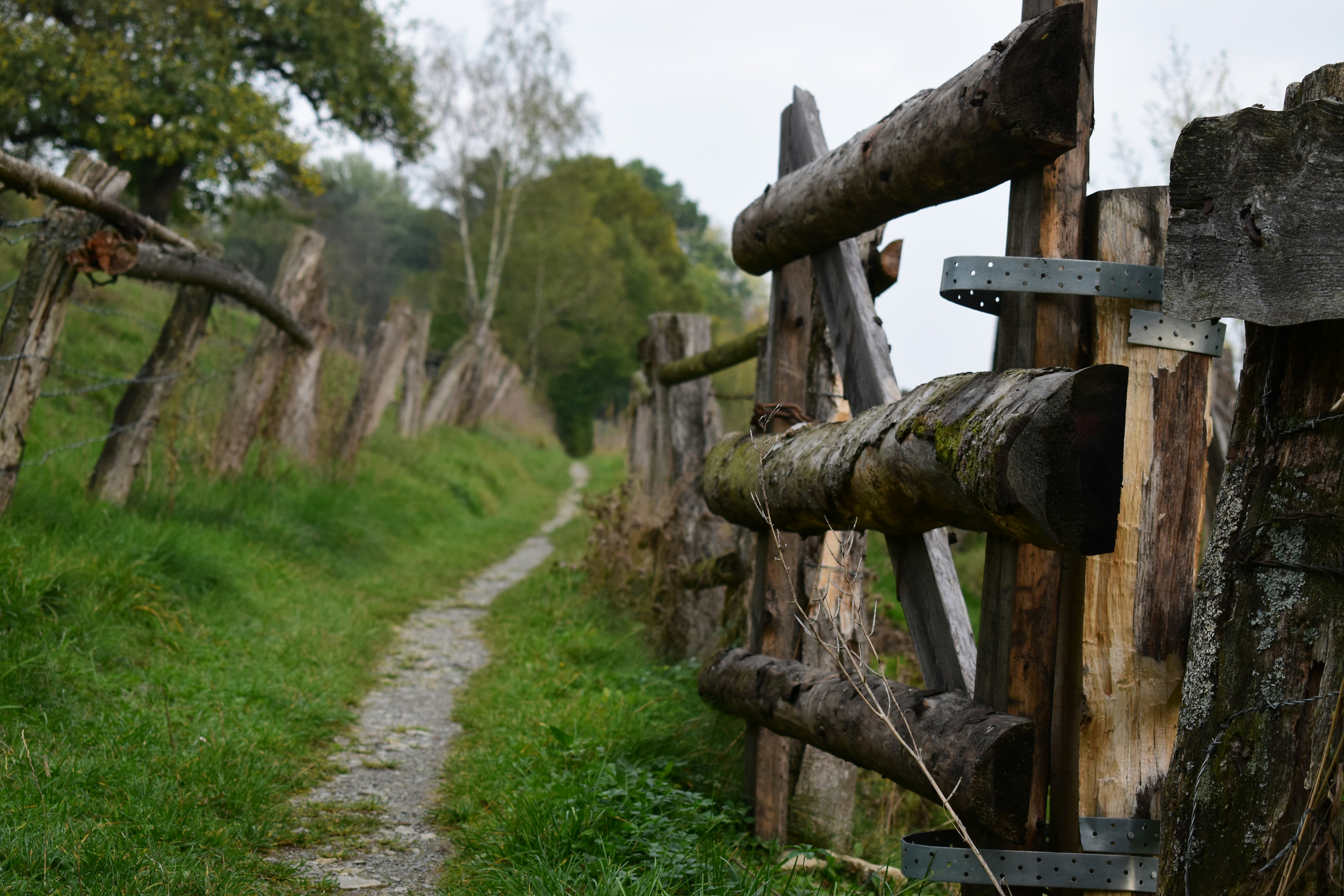 Photo by welcometojo_