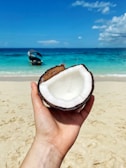 person holding coconut shell near sea during daytime