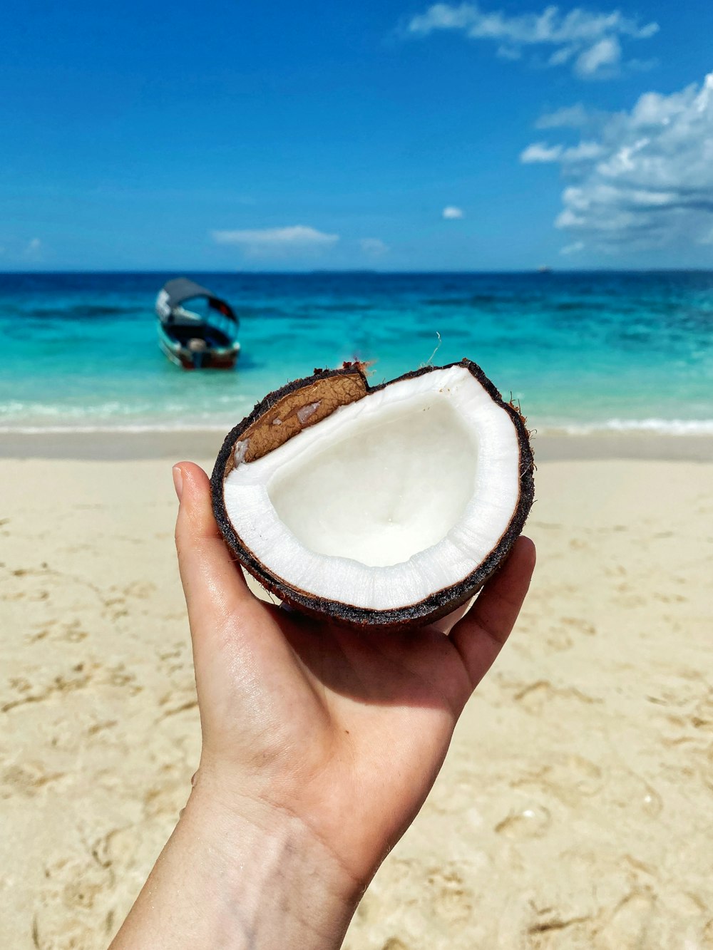 person holding coconut shell near sea during daytime