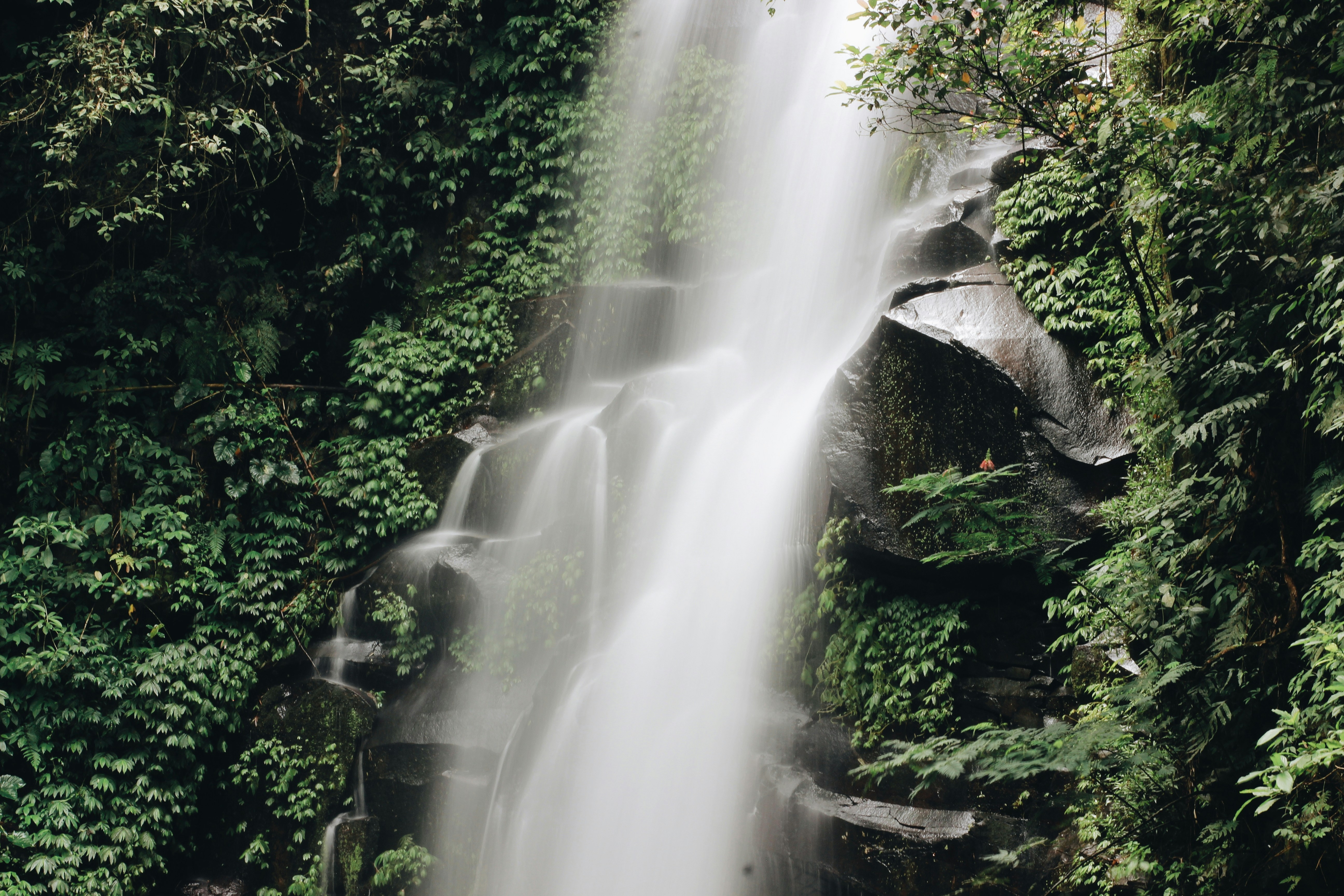 water falls in the middle of the forest