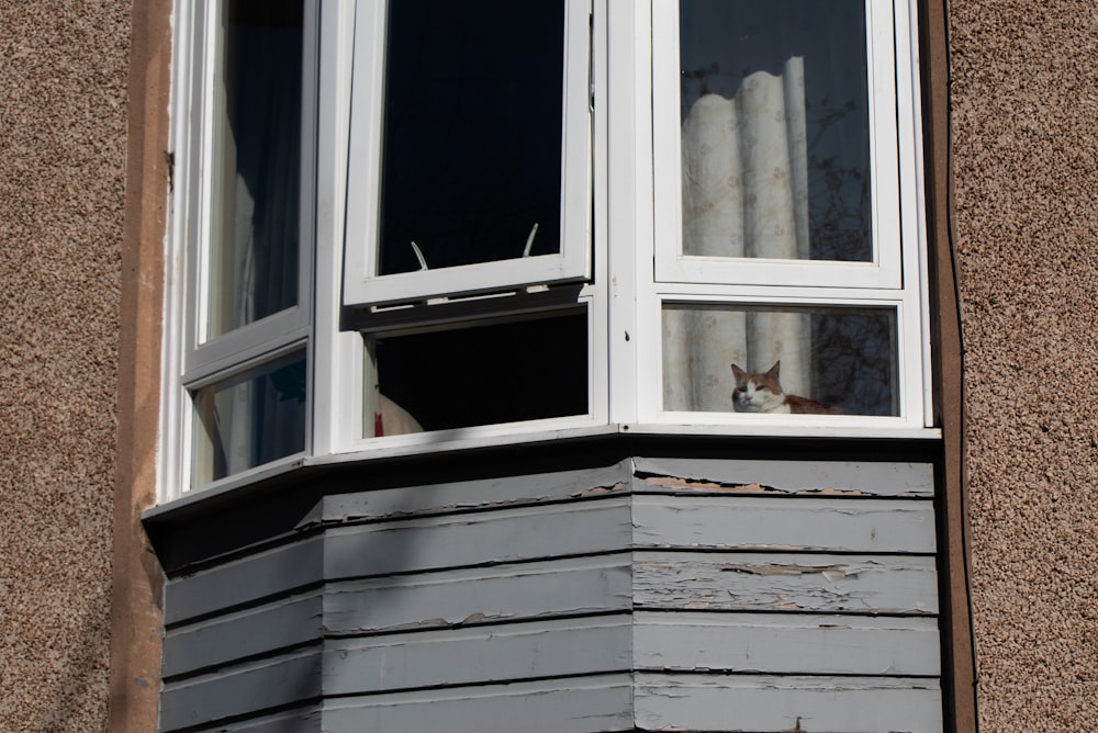 white wooden framed glass window