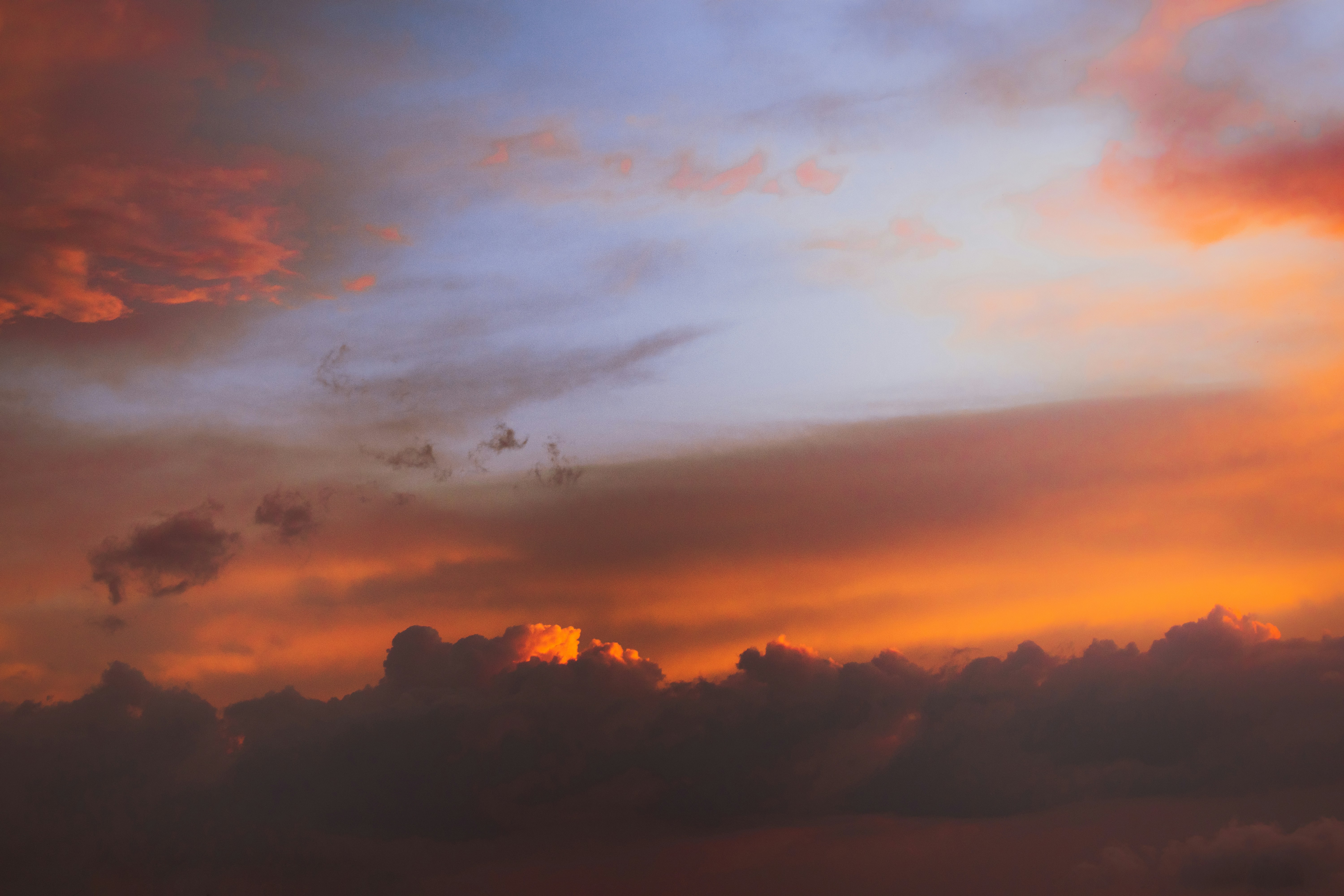 silhouette of birds flying during sunset