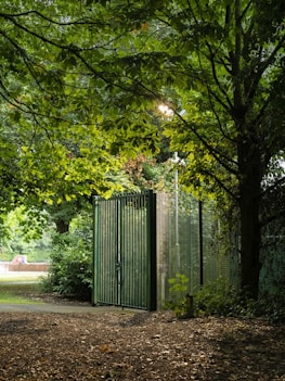 green metal gate near green trees during daytime