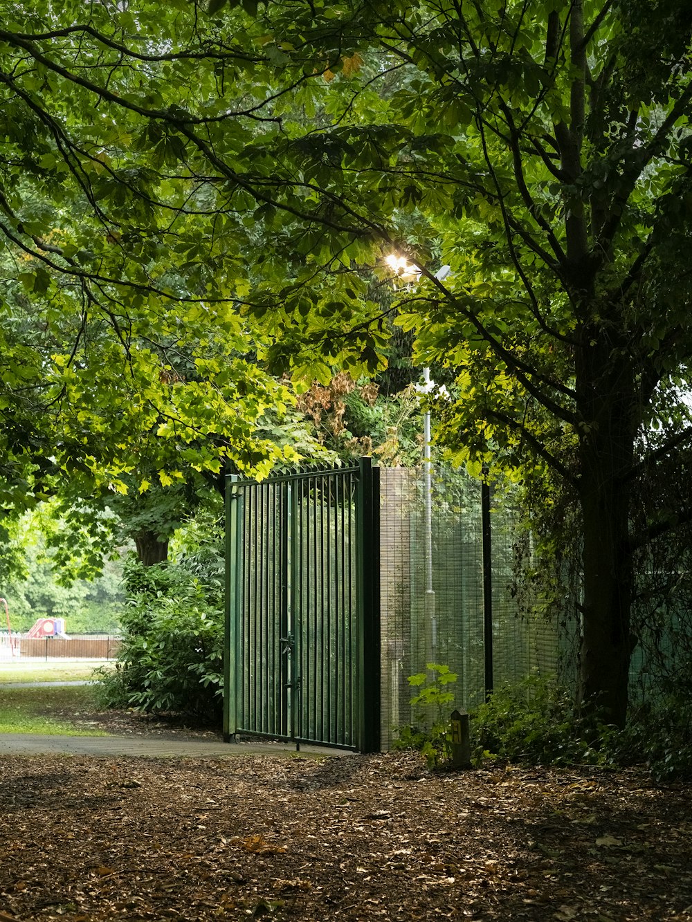 green metal gate near green trees during daytime