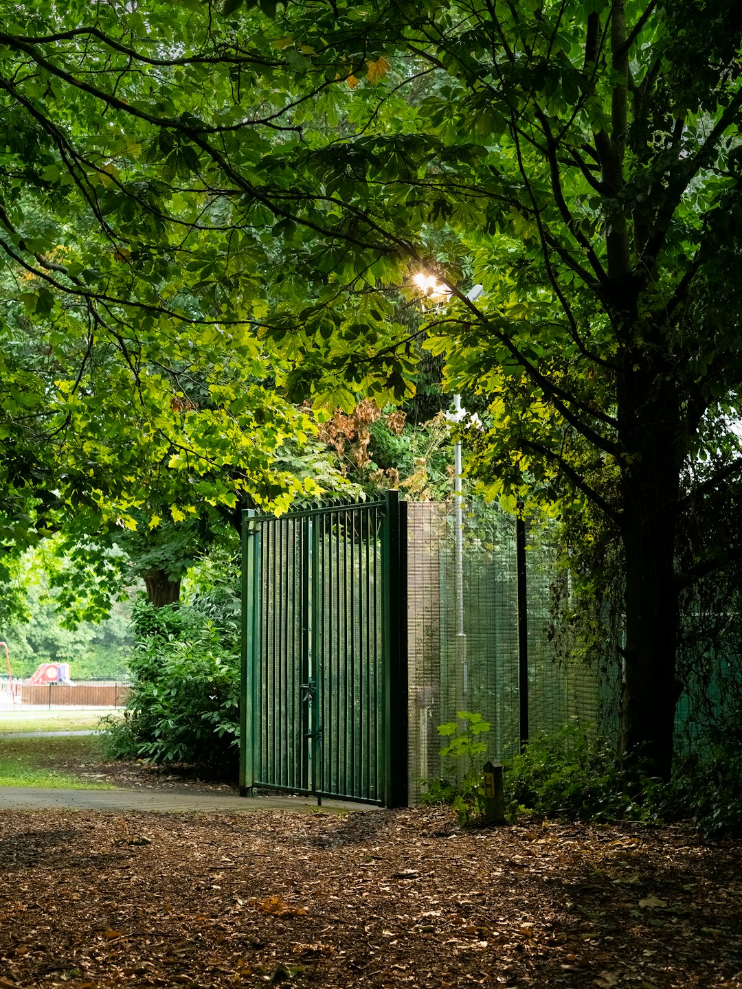 green metal gate near green trees during daytime