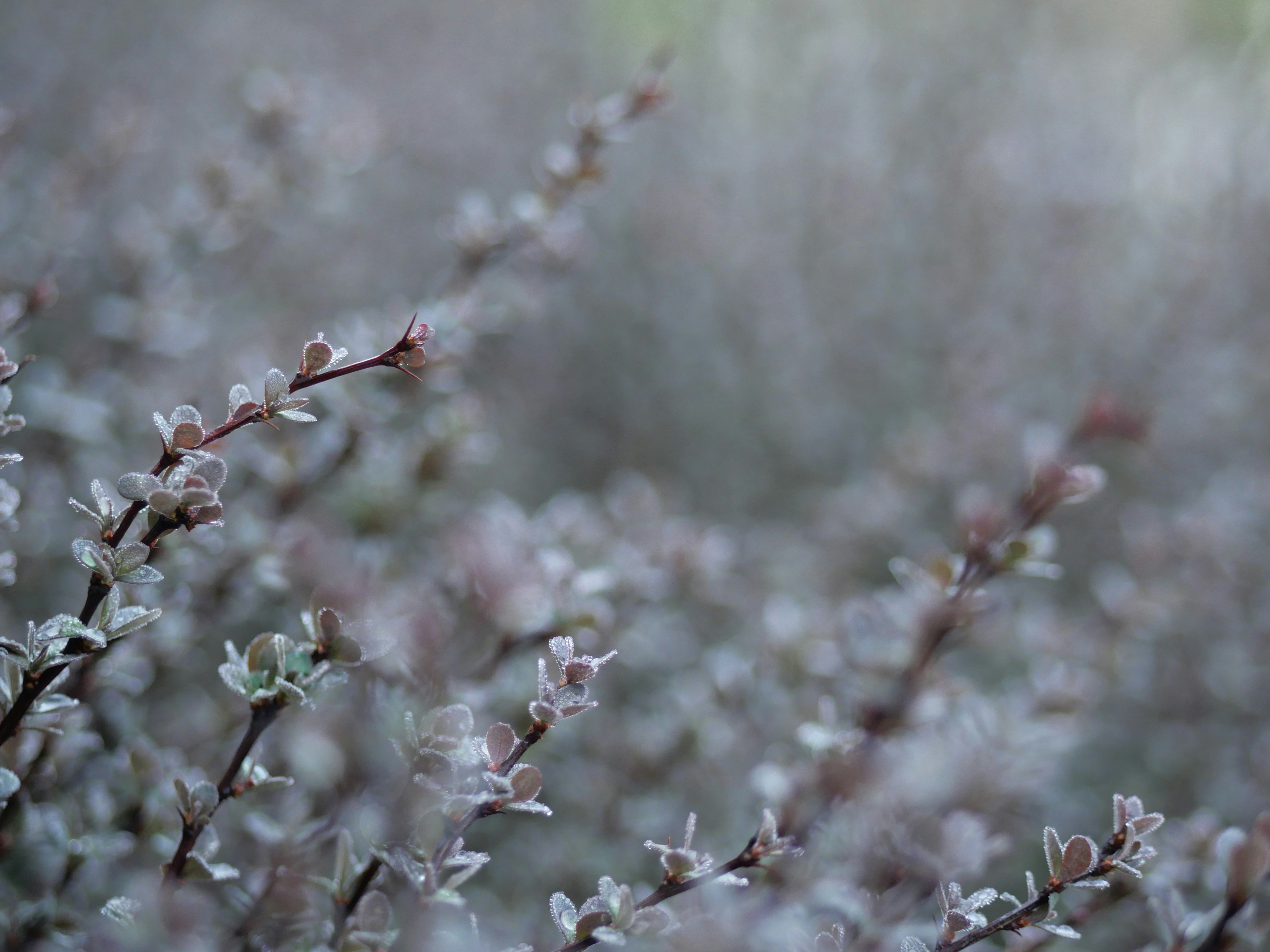 Photo by aaronburden