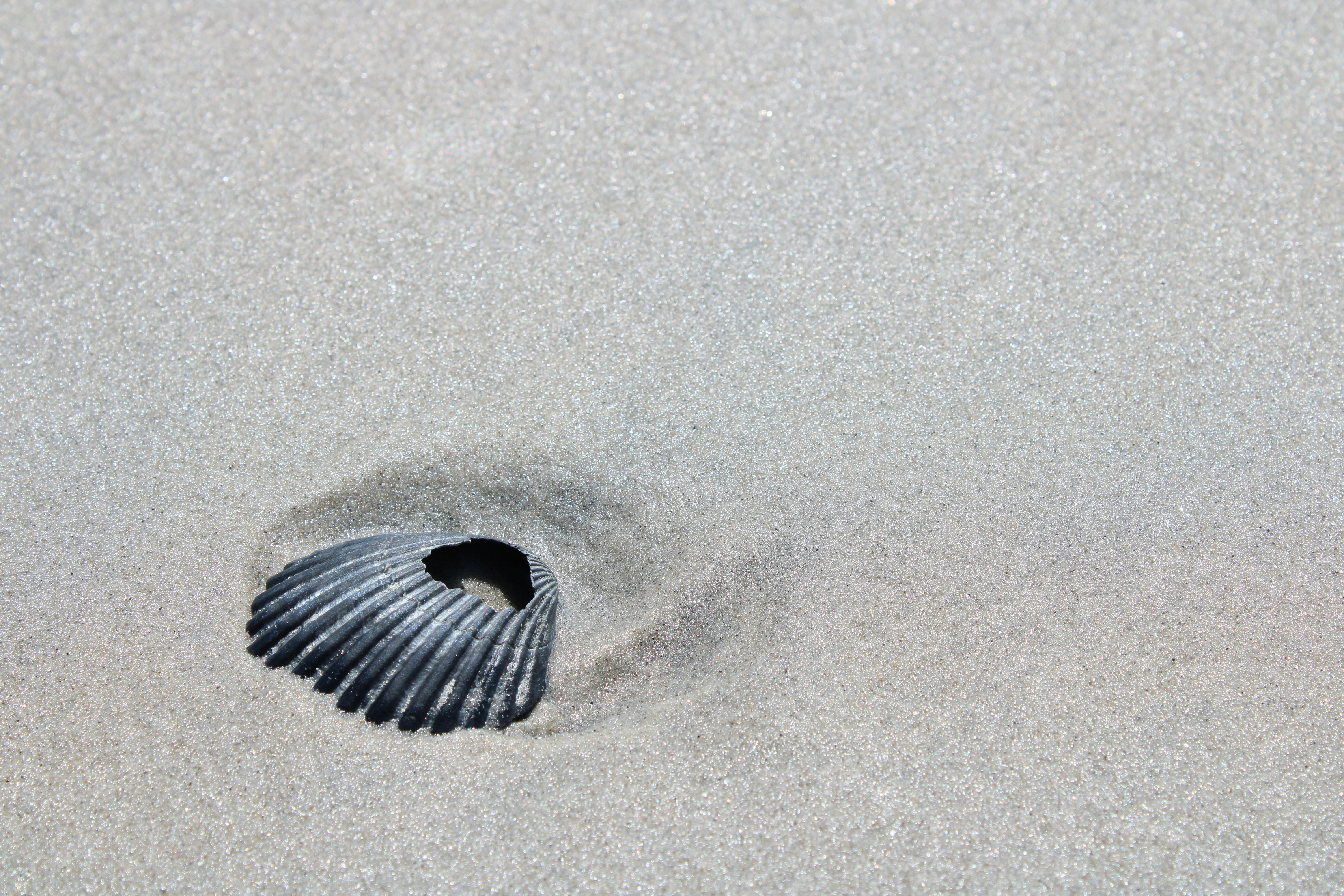 black and white stripe textile on gray sand