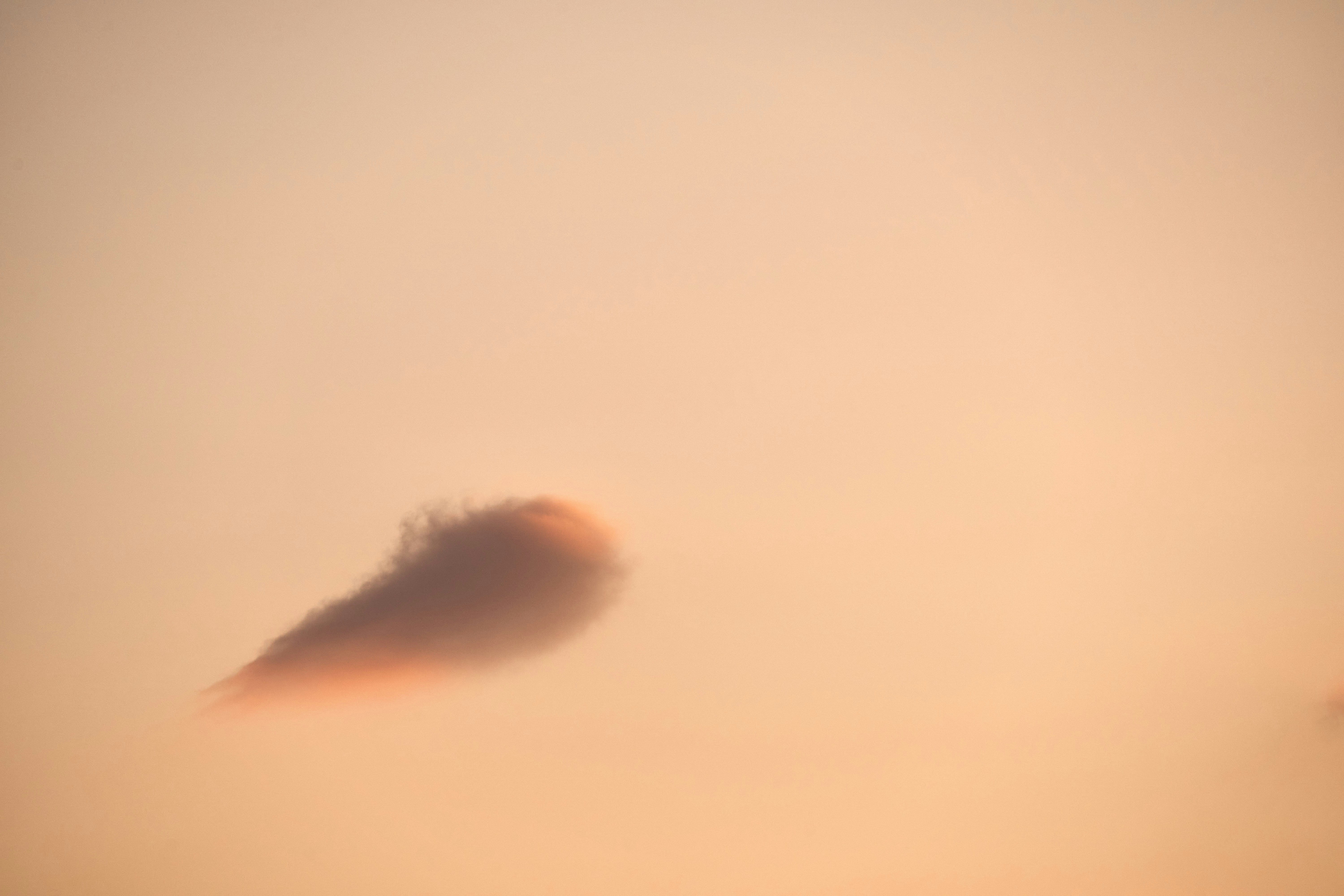 Photo by wolfgang_hasselmann