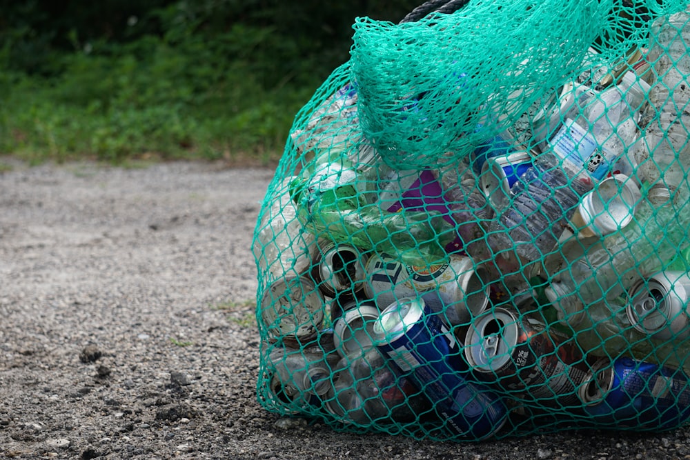 blaue Plastikflasche im grünen Netz