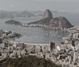 city buildings near body of water during daytime