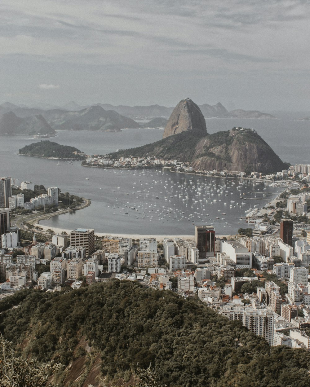 edifícios da cidade perto do corpo de água durante o dia