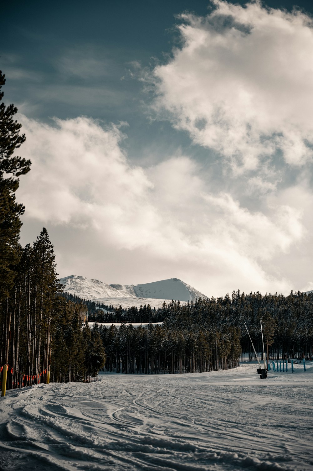 green pine trees on snow covered ground under cloudy sky during daytime