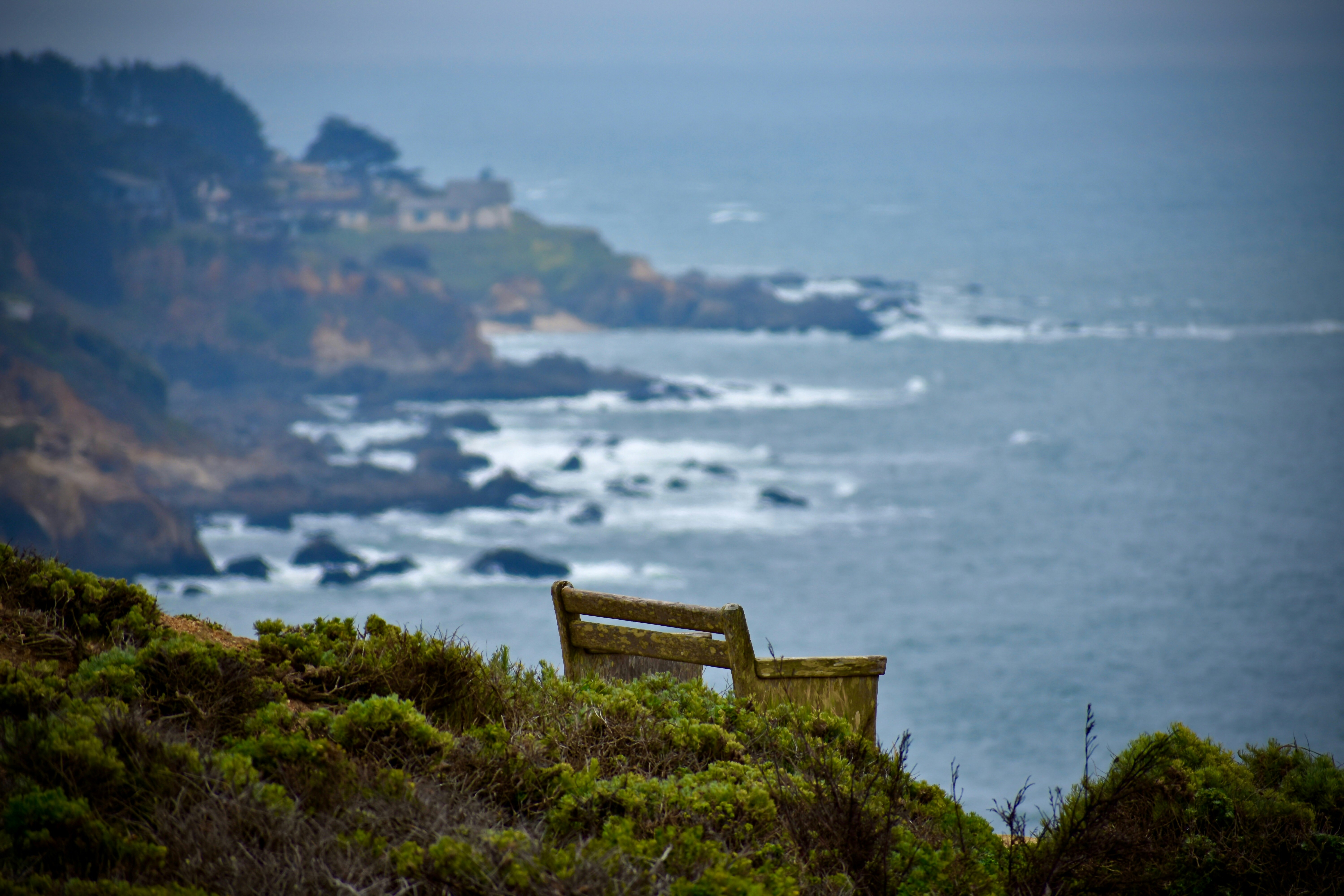 Bench in nature with ocean view in the background