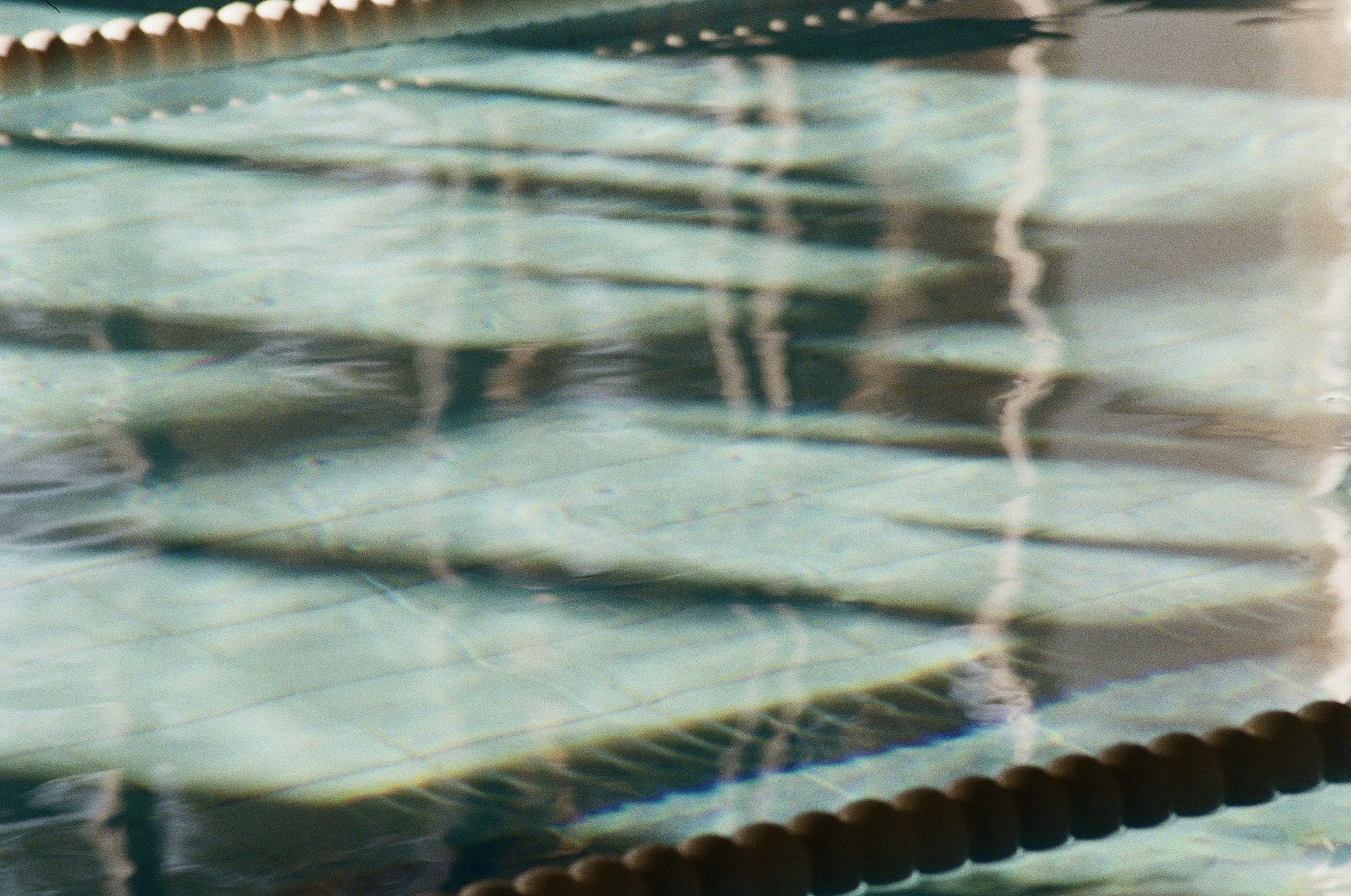 Photo by kasparseglitis