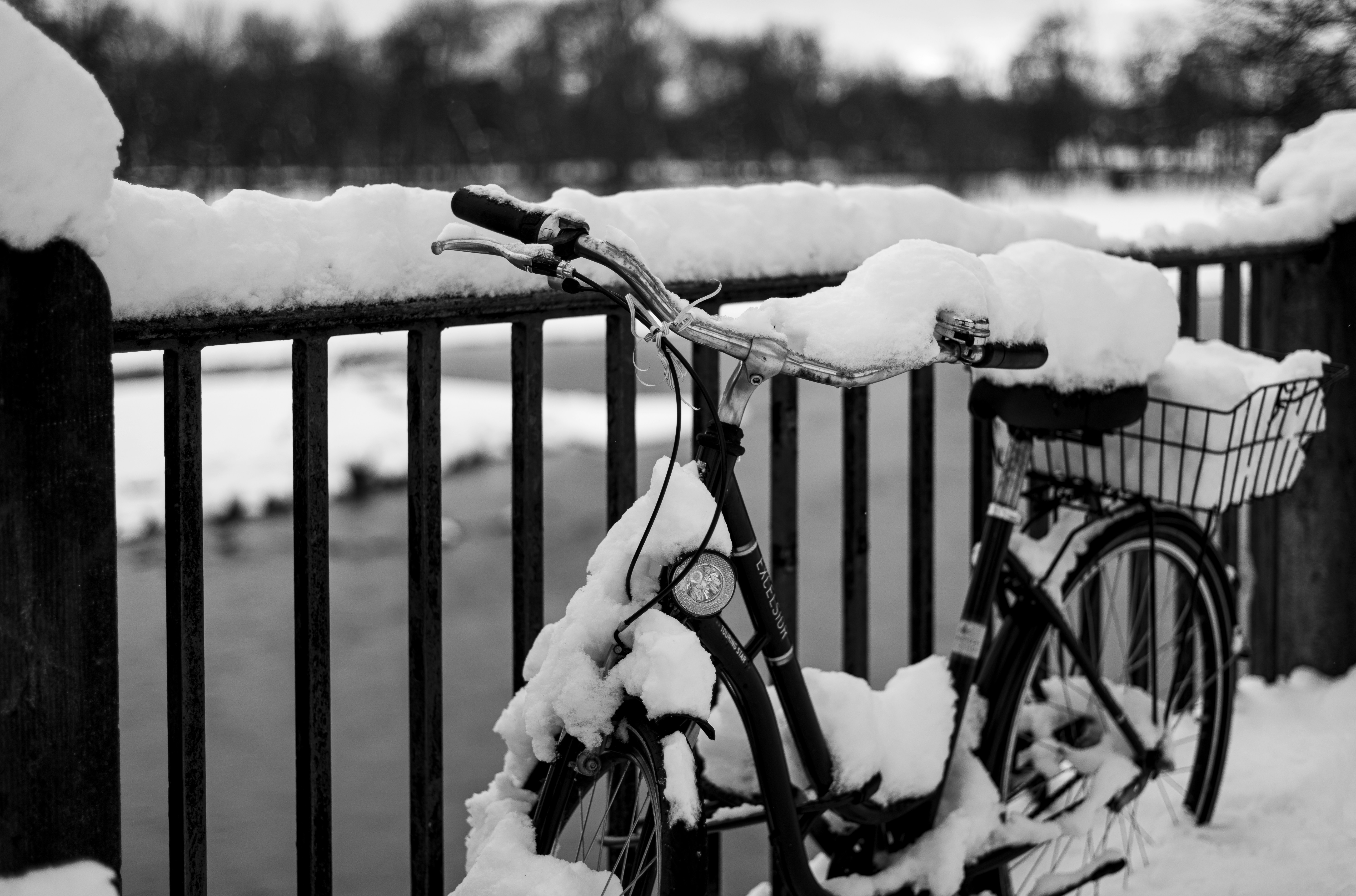 Photo by dieter_muenchen