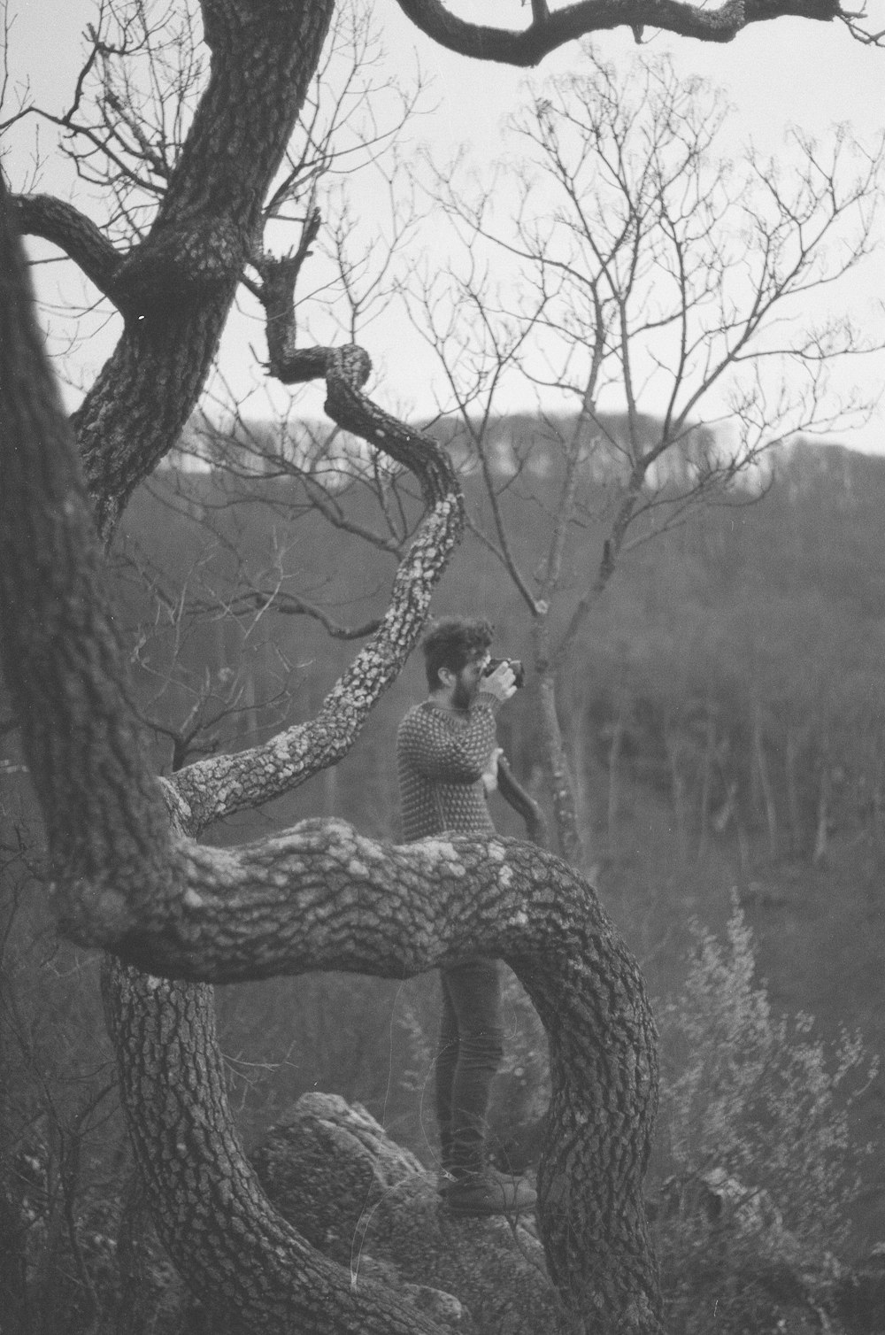 grayscale photo of woman sitting on tree branch