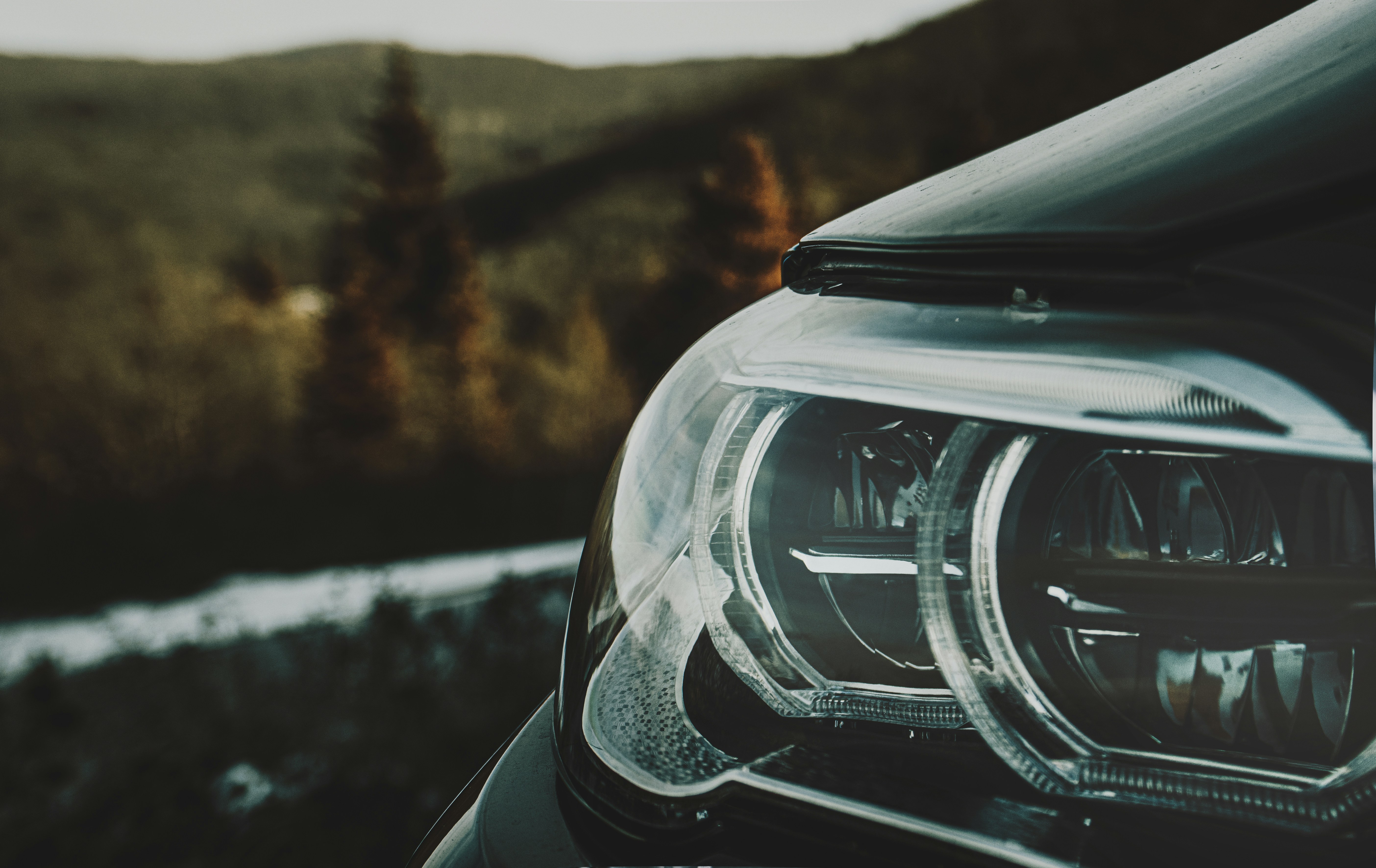 Photo by luka_tsikolia