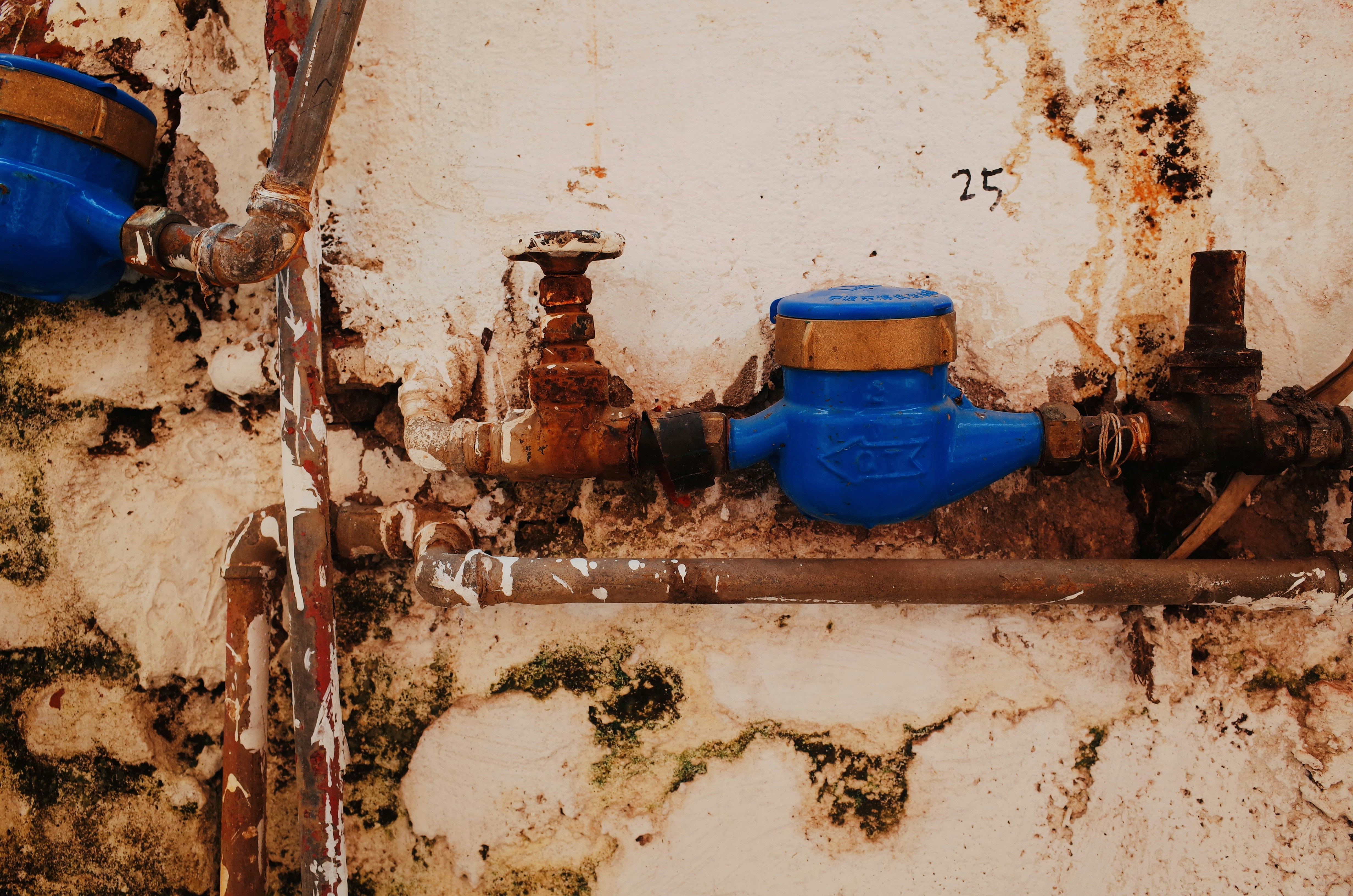 Water damage restoration professional