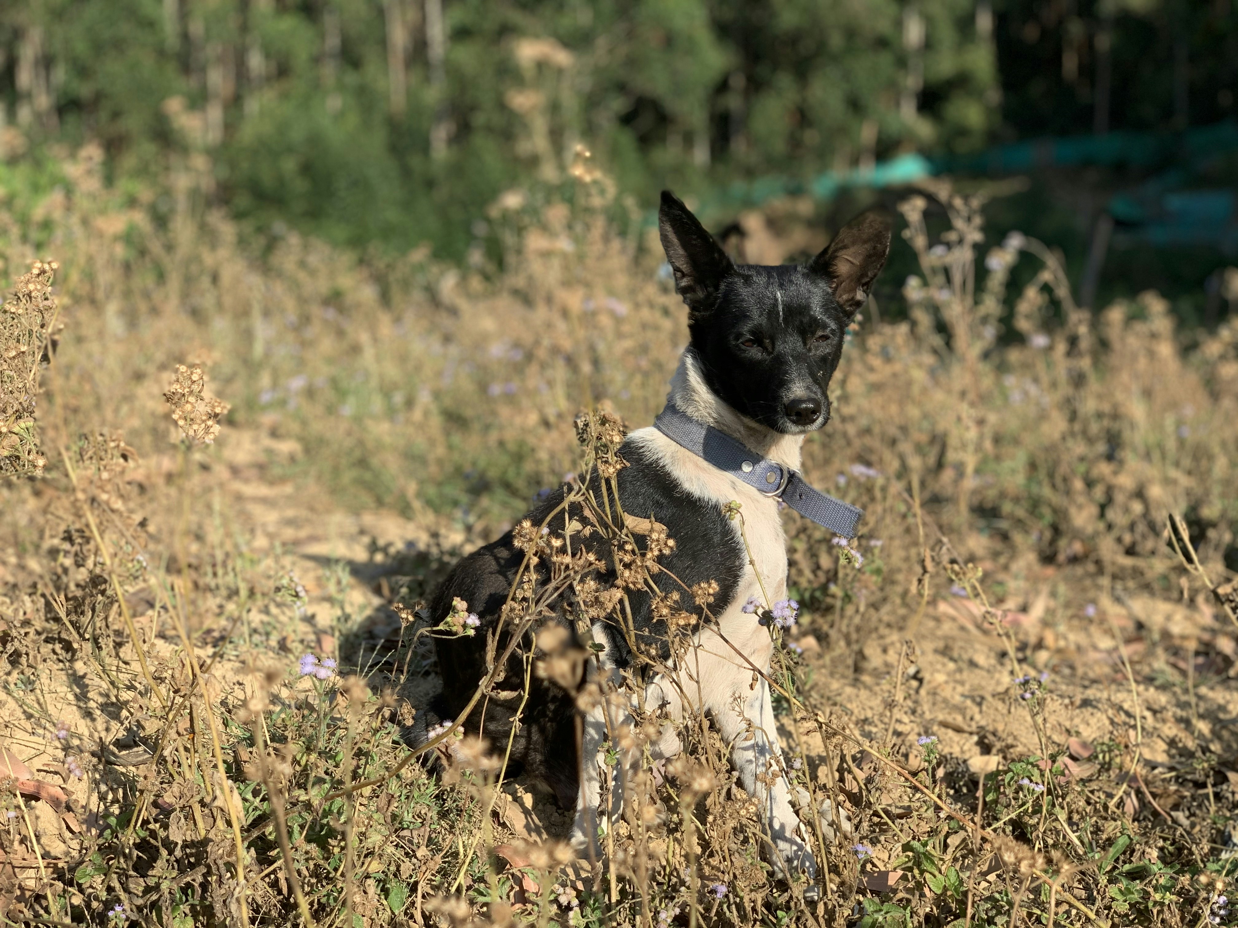 A variety of vitamins and supplements displayed in vibrant packaging