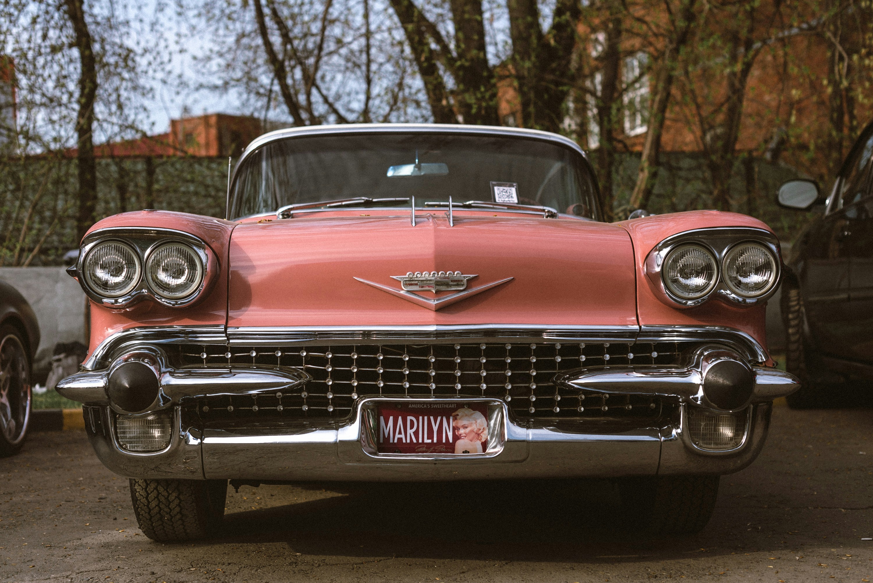 Photo by lubitglazami