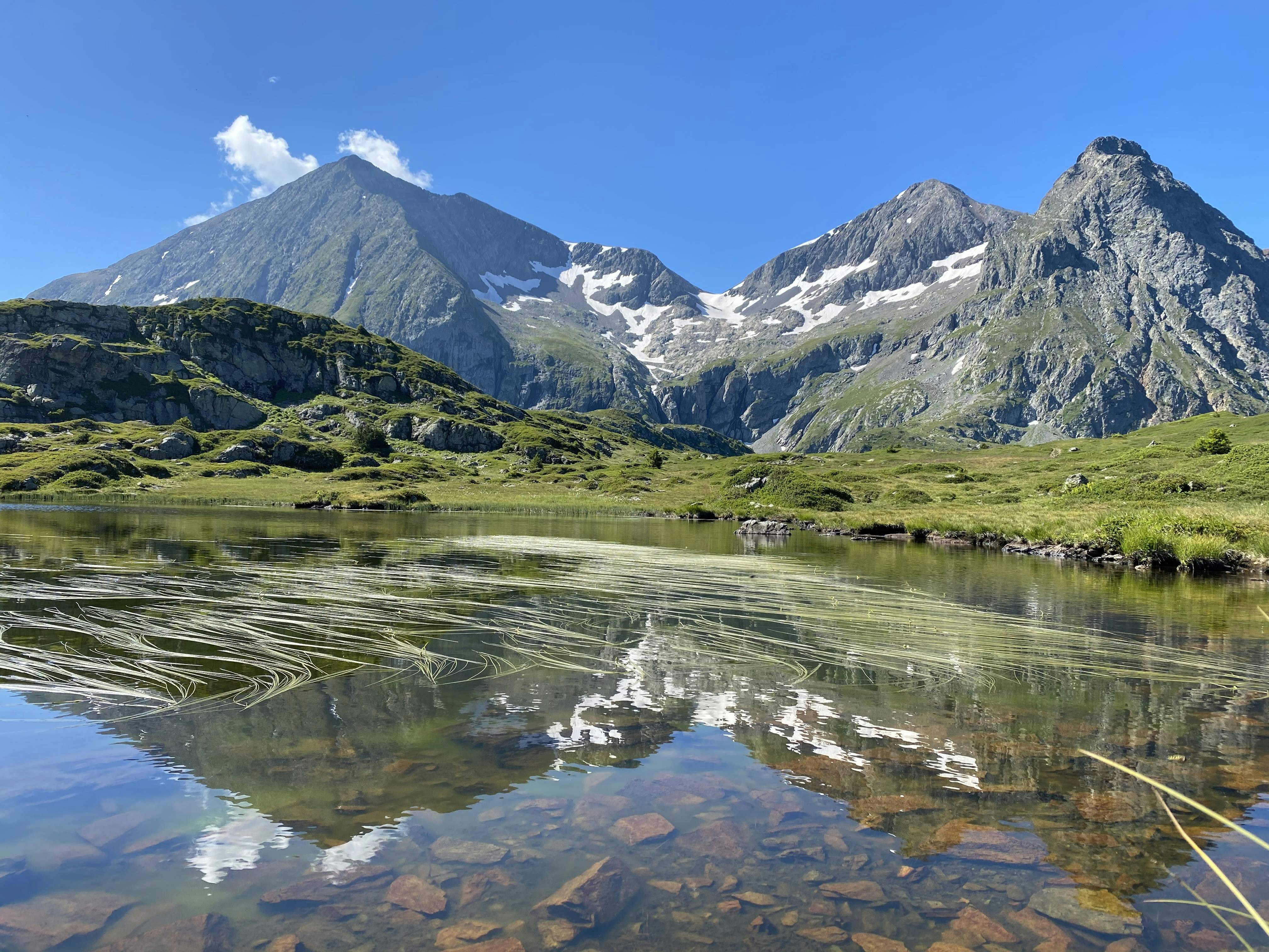 Photo by typhainebraz