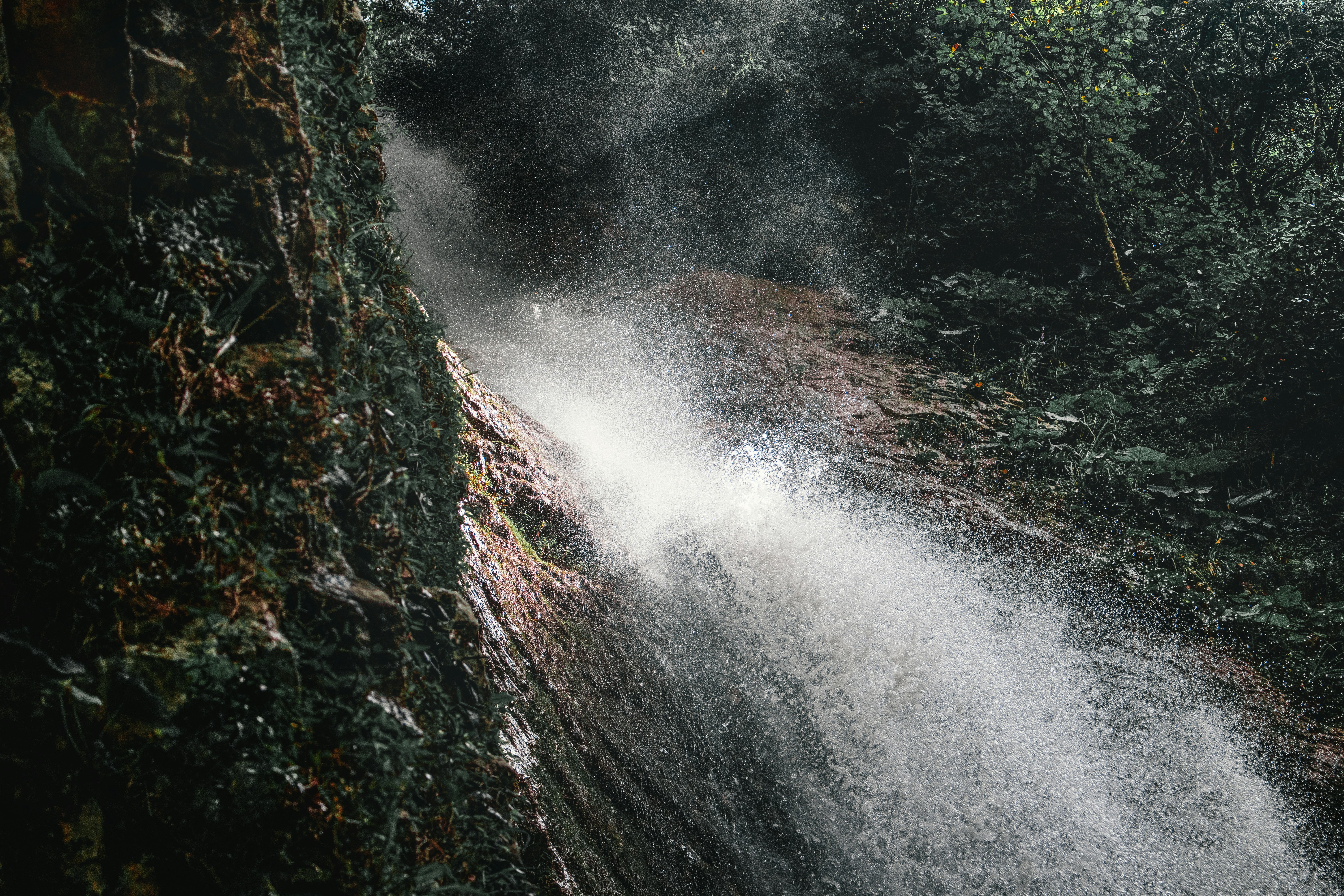 Photo by luka_tsikolia