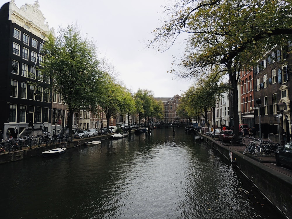 river between houses and trees during daytime