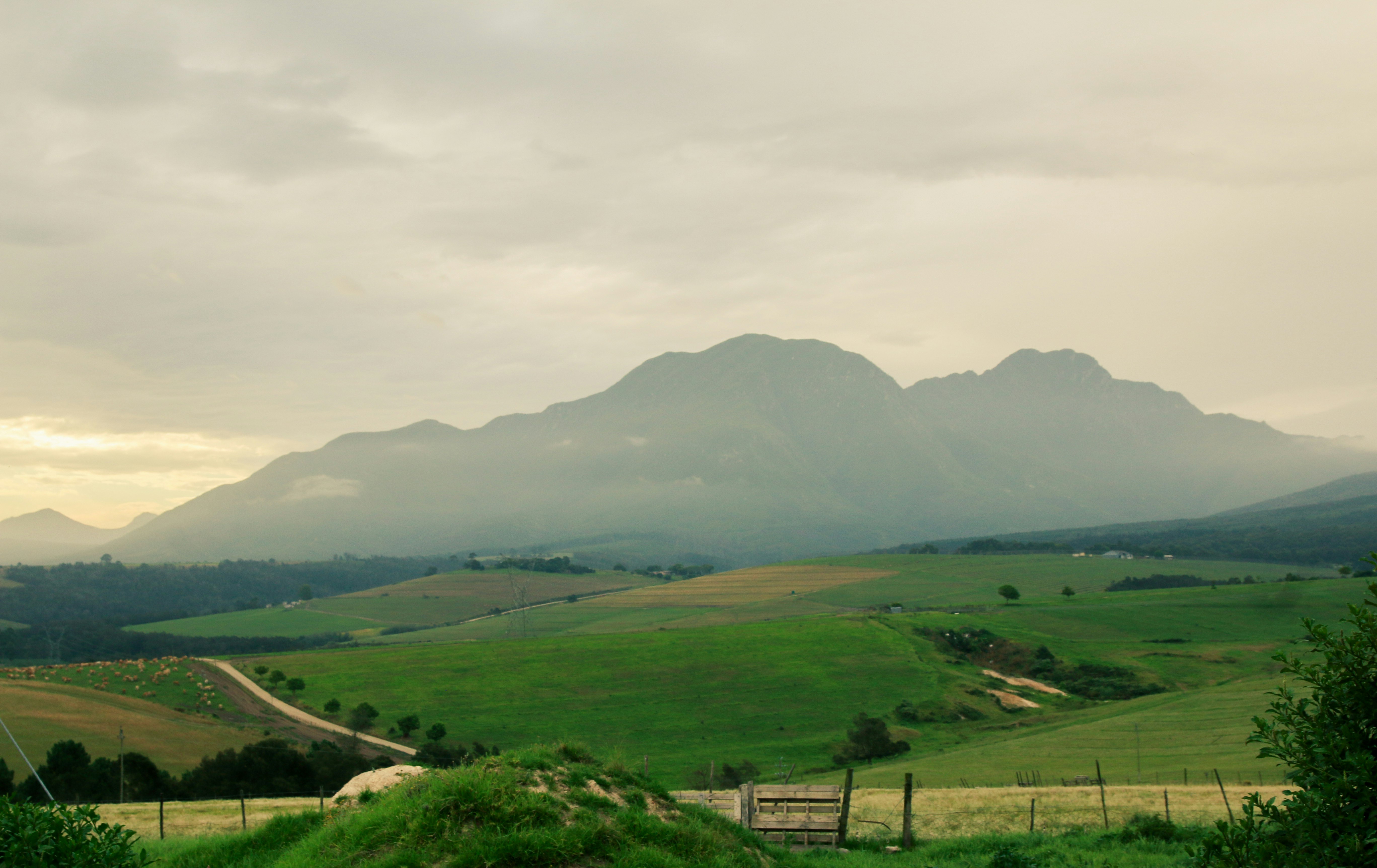 green grass field near mountain during daytime