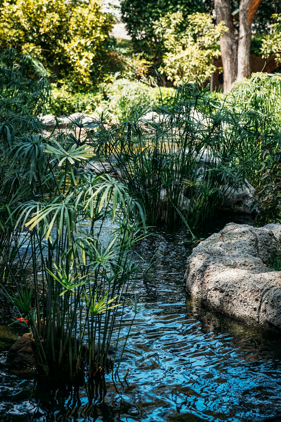 green plants beside body of water during daytime