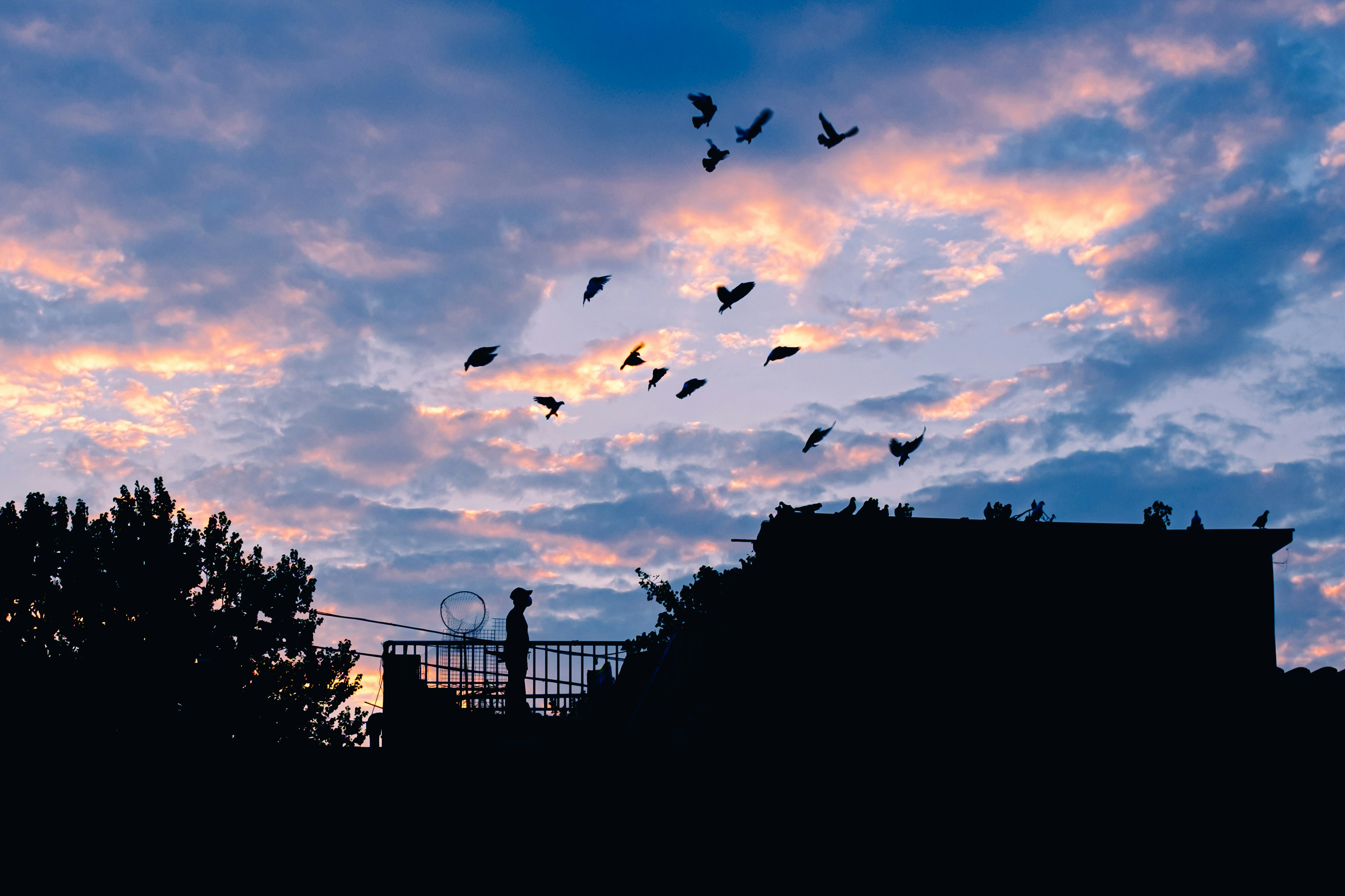 Photo by chriszhang0806