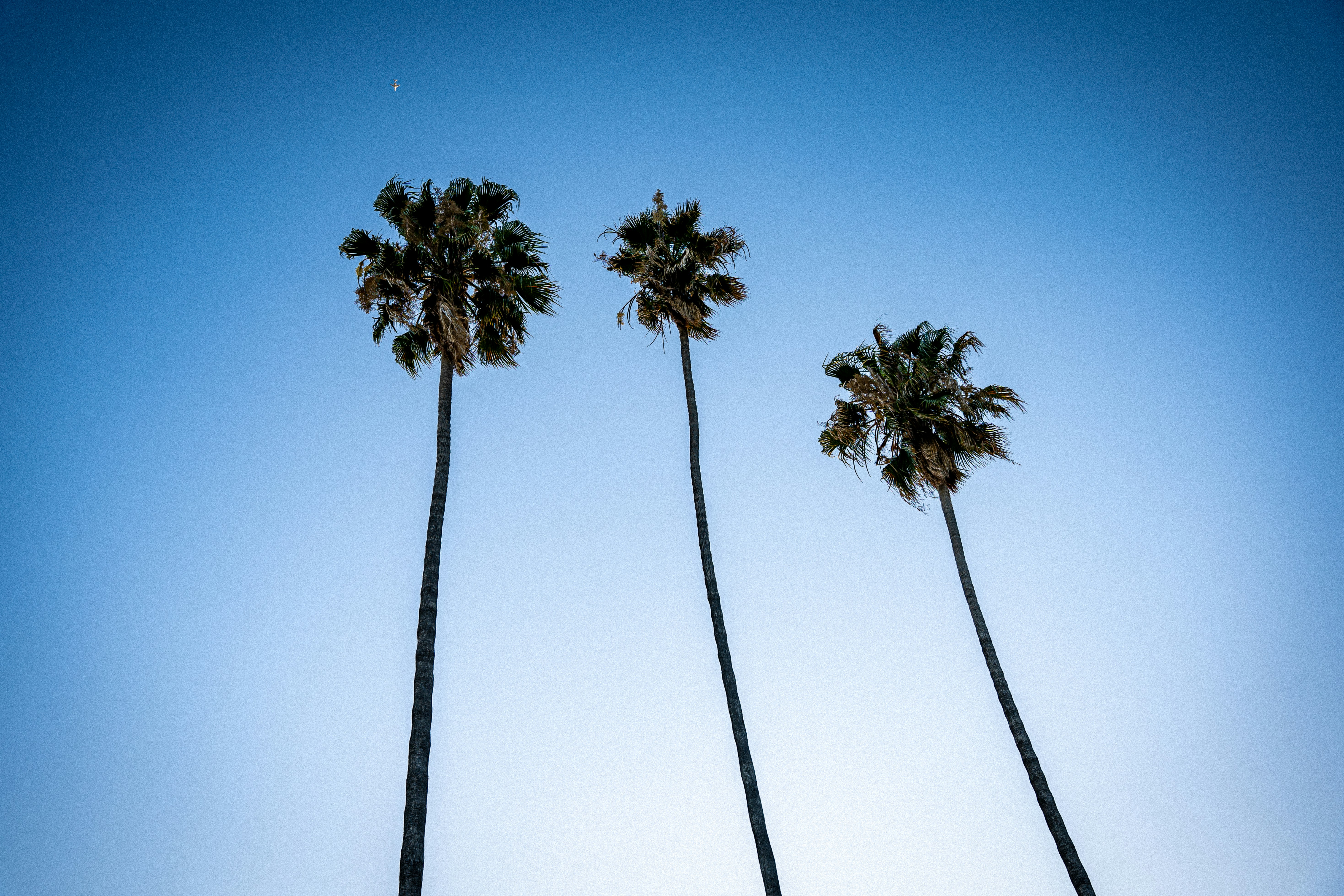 Photo by nick_monge_