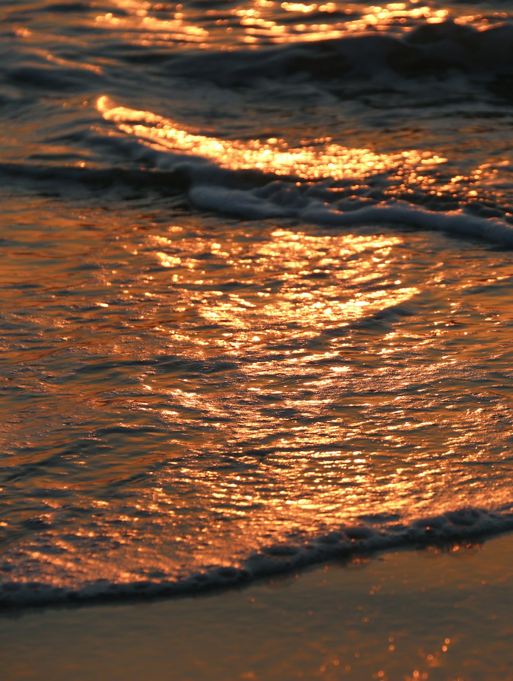 ondas de água na areia marrom durante o dia