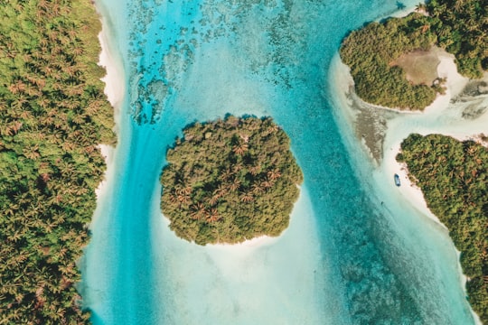 aerial view of blue ocean water during daytime in Thaa Maldives