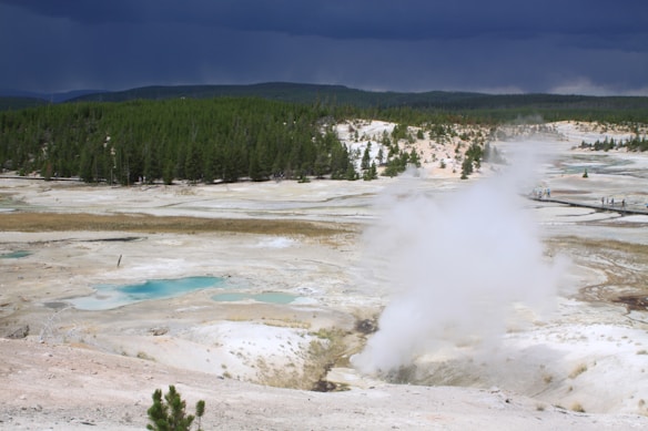 A geothermal landscape with steam rising from the ground, surrounded by terraces and small pools of vivid blue-green water. The foreground is a barren terrain with a few scattered plants, while the background features a dense forest under a dark, cloudy sky.