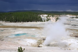 A geothermal landscape with steam rising from the ground, surrounded by terraces and small pools of vivid blue-green water. The foreground is a barren terrain with a few scattered plants, while the background features a dense forest under a dark, cloudy sky.