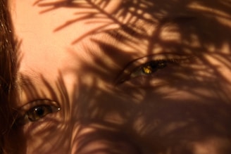 Sun and face