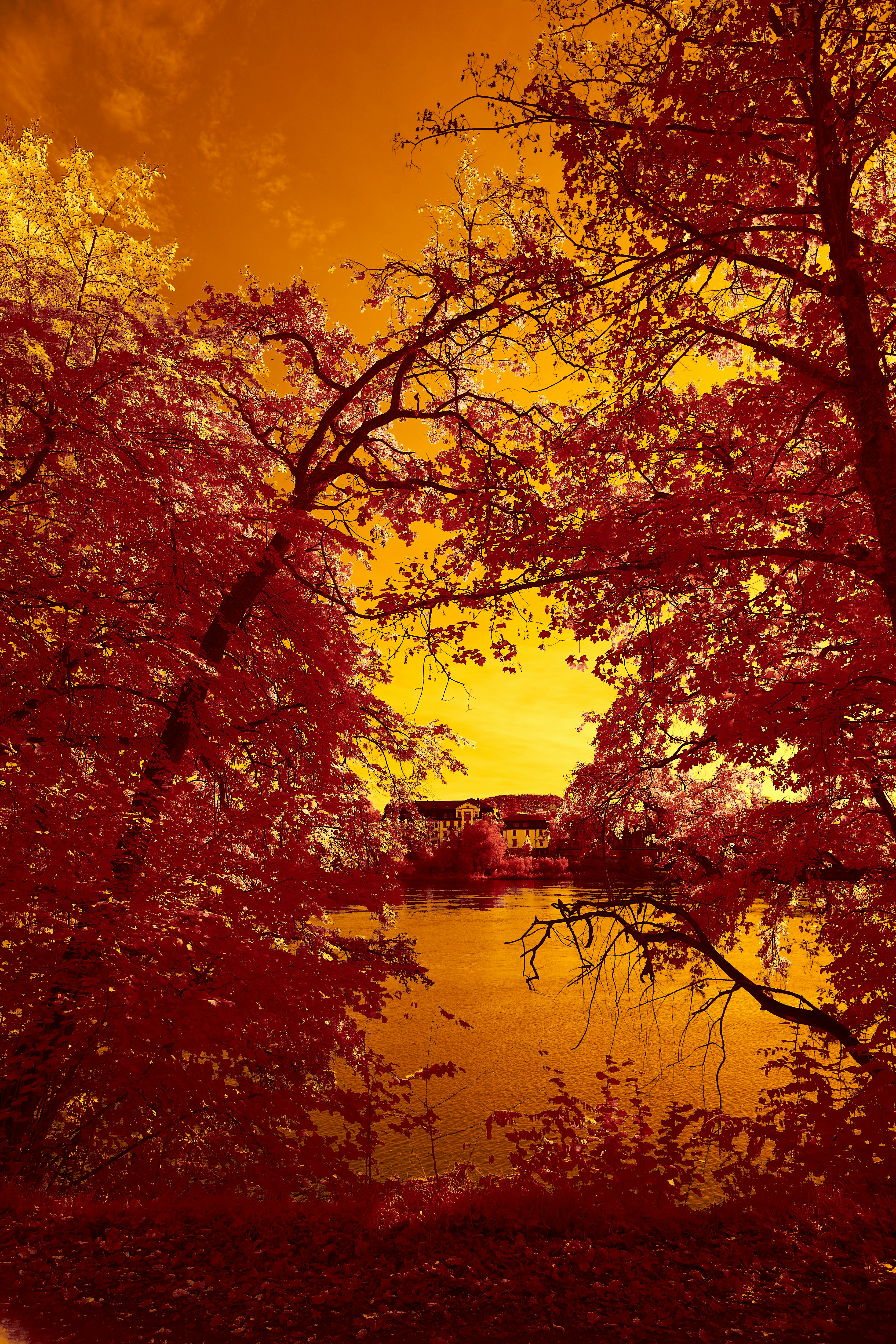 Photo by wolfgang_hasselmann