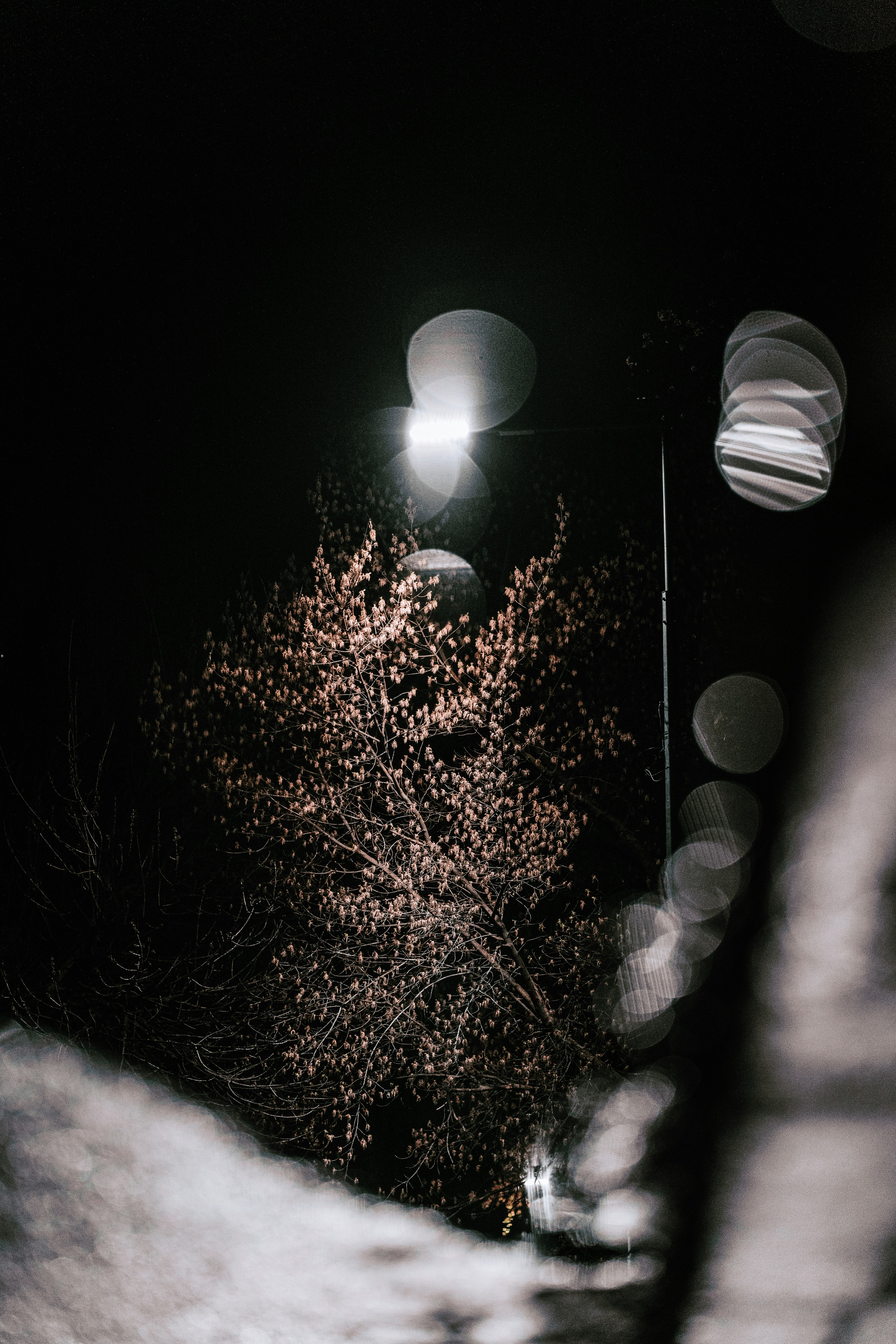 Photo by maksym_tymchyk