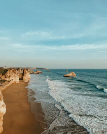 brown rock formation on sea shore during daytime