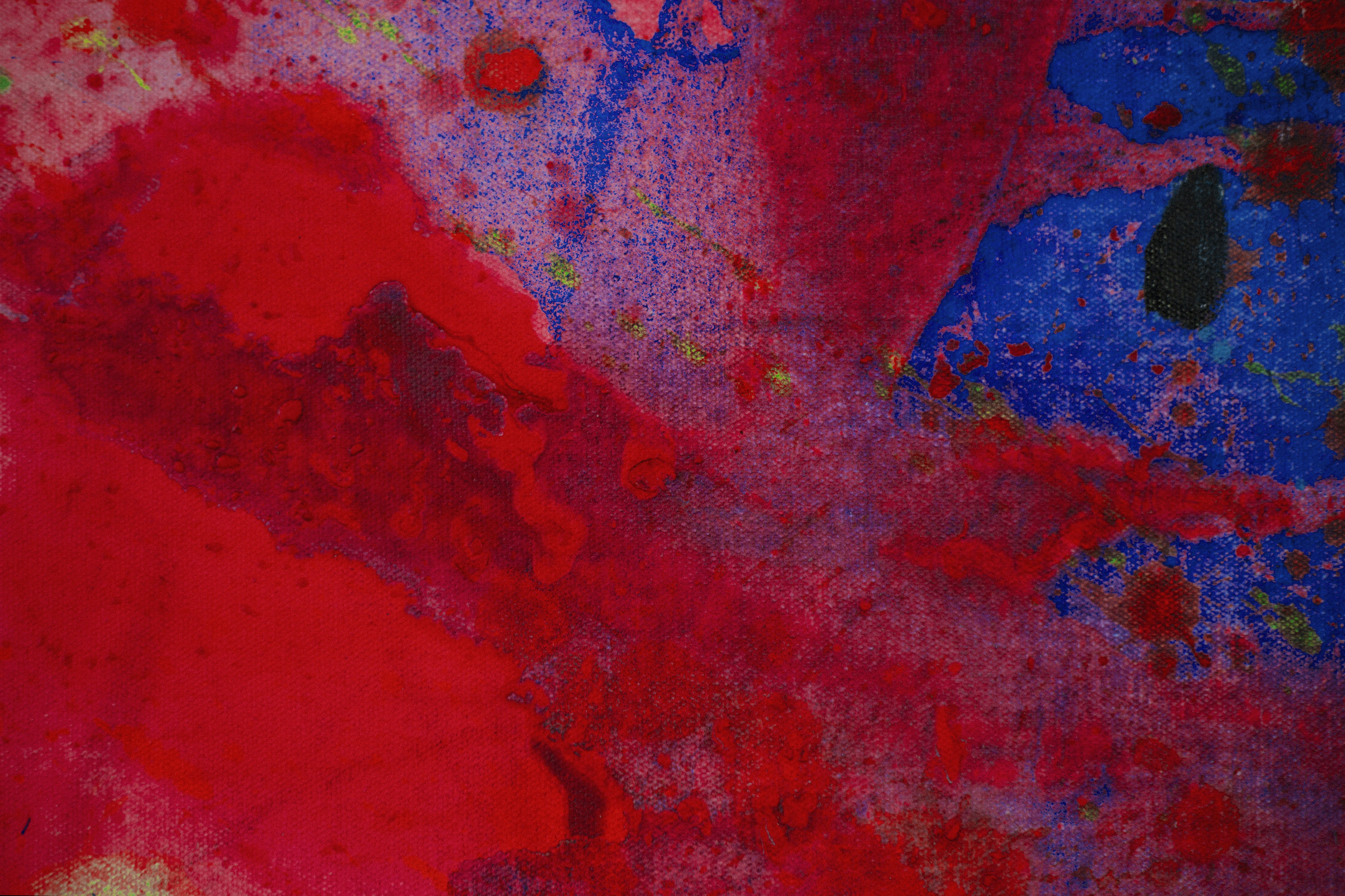 Photo by alexconradt